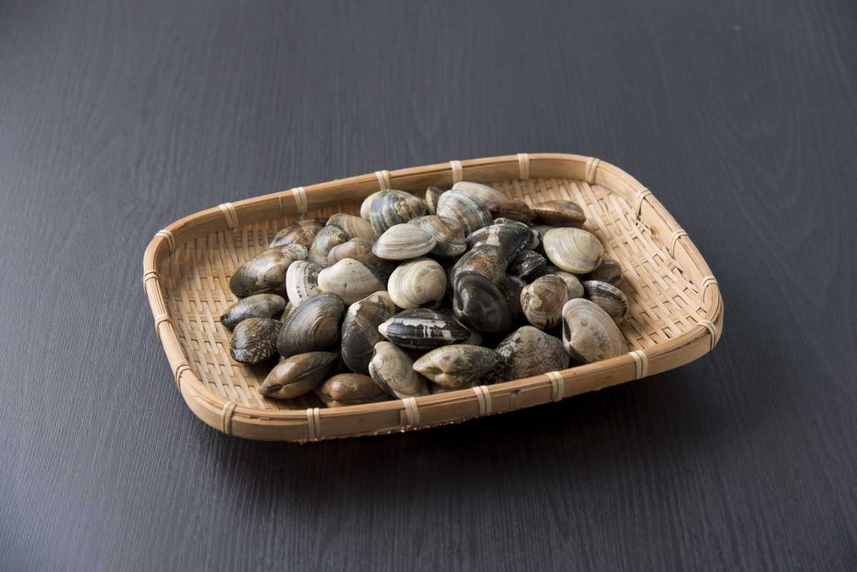 【愛知県三河産】アサリイメージ