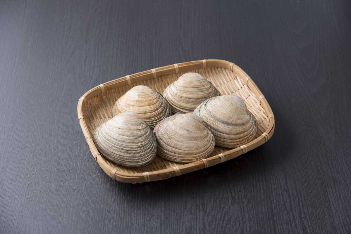 【愛知県三河産】大アサリ　大イメージ