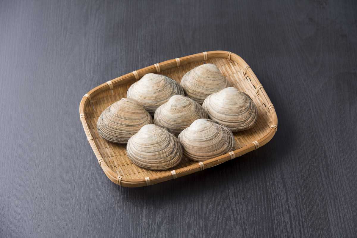 【愛知県三河産】大アサリイメージ